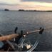 ARSEBISCUITS_FORDE