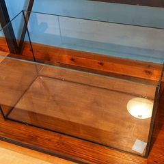 Aquarium 96l