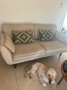 FREE couch