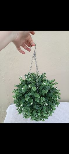 Hanging garden ornament