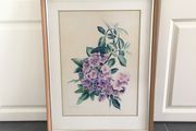 Original Watercolour by Stuart Armfield