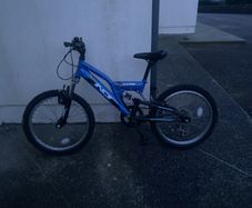 Kids Indi Bike