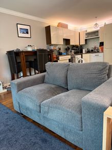 Two Grey Couches