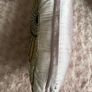 Cushion - Victorian Fan - Pink (Brown Thomas) Image 4