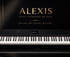 Piano keyboard 88 key Alexis