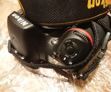 Nikon D800 (body only)