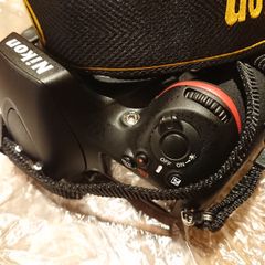Nikon D800 (body only)