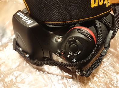Nikon D800 (body only)