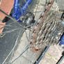 Bradley Wiggins Rouen Junior Kids Road Racer Bike Image 9