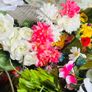 flowers Image 4