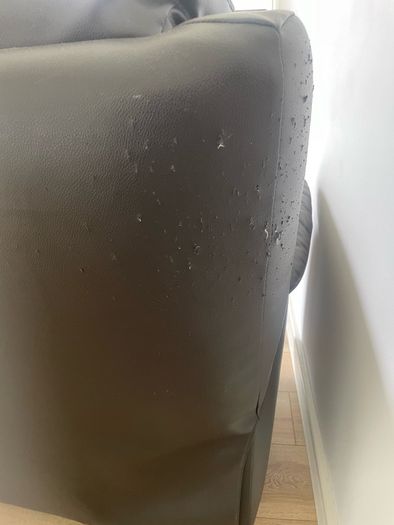 Free Couch