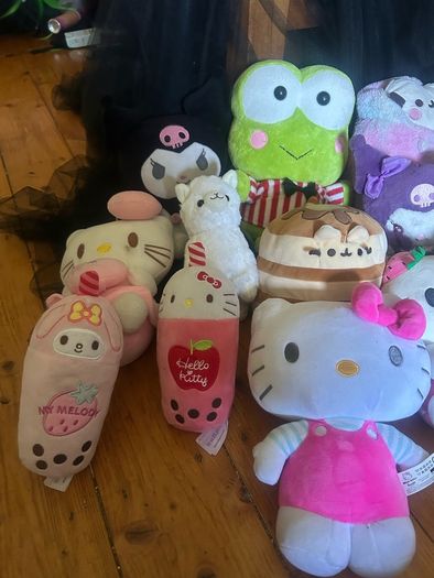 licensed sanrio, pusheen plushies (and extra)