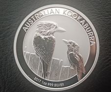 Australian Kookaburra