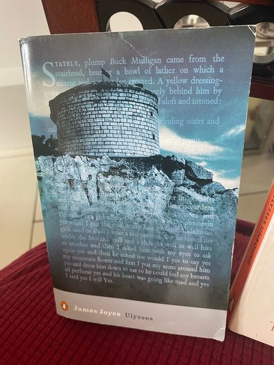 Ulysses and Ulysses Unbound