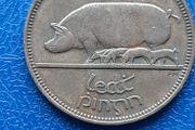 1953 Irish Republic. Half Penny. Nice condition!