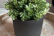 artificial plant