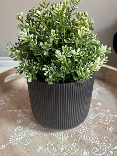 artificial plant