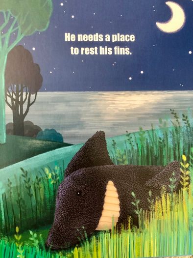 Children book