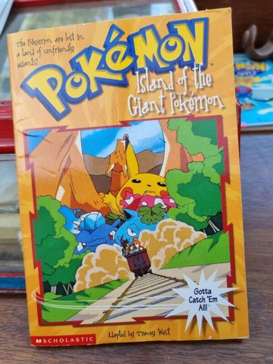 Pokemon book bundle