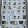 Framed Birds  of Ireland Stamp Collection Image 2