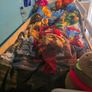 Bunk bed with desk and drawers Image 2