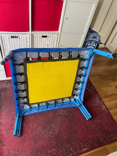 Indoor/outdoor trampoline