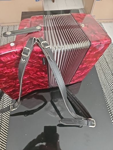 piano accordian...to include case