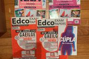 Junior cert Irish