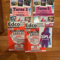 Junior cert Irish