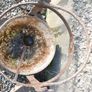 Victorian Cast Iron Cauldron 1800s Garden Decoration, Flower Pot Image 8