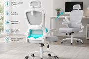 Ergonomic Office Chair with Lumbar Support &amp; Adjustable Headrest Grey