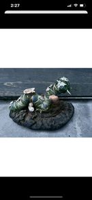 Whimsical Creepy Fantasy Gold Dust Collector Caterpillar on a Dried Polypore Mushroom Room Decor Display Oddity