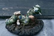 Whimsical Creepy Fantasy Gold Dust Collector Caterpillar on a Dried Polypore Mushroom Room Decor Display Oddity