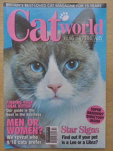 Cat World