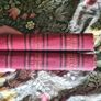 Scarce Lloyd's Natural History - 1896/7, 2 Vol. Set. Free Postage. Image 8