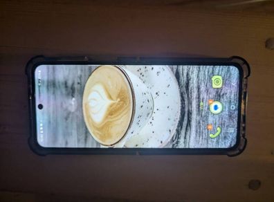 Samsung Z flip 4 with the issue