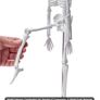 Human Anatomy Models Bundle Set, Brain, Human Torso Body, Heart, Skeleton Model Image 5