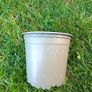 11x plastic plant pot Image 6