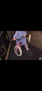 Pink steel Trybike