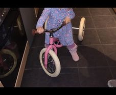 Pink steel Trybike