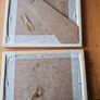 Warrenpoint 1950s X 2 Prints. Both In Good Condition. See Photos For Same. Image 9