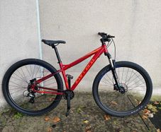 Carrera Hellcat Mountain Bike