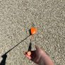 MK Kids orange driver Image 2