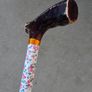 Walking Stick Image 2