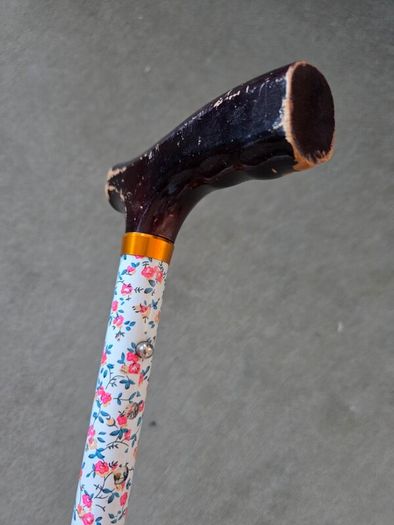 Walking Stick