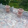 garden Image 4