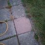 FREE coloured concrete pavers Image 3
