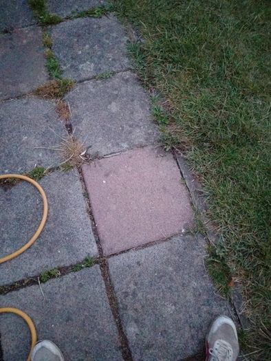 FREE coloured concrete pavers