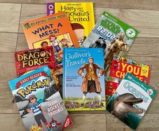Early young reading book bundle