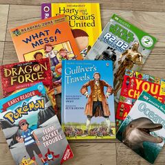 Early young reading book bundle